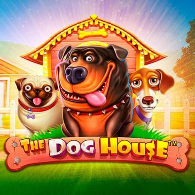 Spin Aura Casino — The Dog House